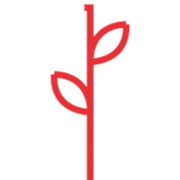 Daubeney Primary School logo