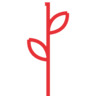 Daubeney Primary School logo