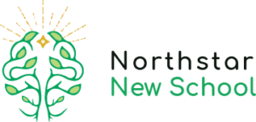 Northstar New School logo