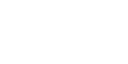 Nadeen School logo
