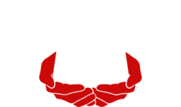 SMS Changing Lives School logo