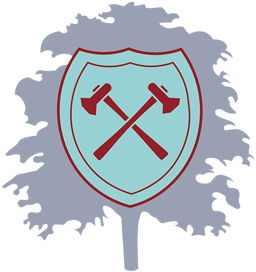Ryders Hayes School logo