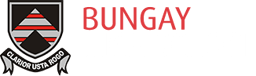 Bungay High School logo