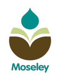 Moseley Primary School logo