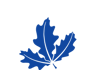 White Court School logo
