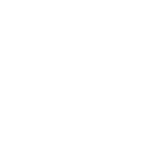Newton Bluecoat Church of England Primary School logo