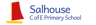 Salhouse CofE Primary School logo