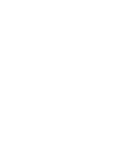 Aston Academy logo