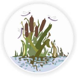 Water Leys Primary School logo
