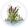 Water Leys Primary School logo