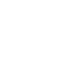 Toner Avenue Primary School logo