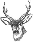 South Darley CofE Primary School logo