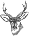 South Darley CofE Primary School logo