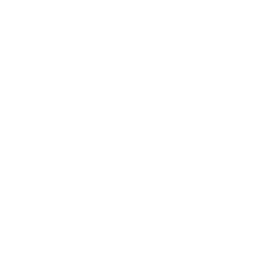 Birch Church of England Voluntary Aided Primary School logo