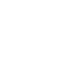 Netherhall Learning Campus High School logo