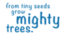 Lickey End First School logo