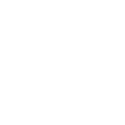 Biddick Hall Infants' School logo