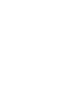 Phoenix Park Academy logo