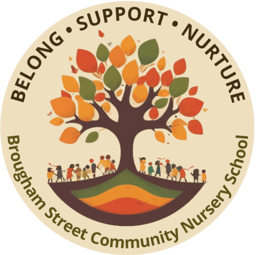 Brougham Street Nursery School logo
