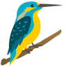 Windale Primary School logo