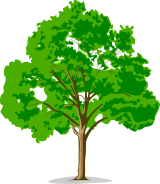Bedgrove Junior School logo
