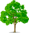 Bedgrove Junior School logo