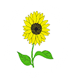 The Ferrars Academy logo