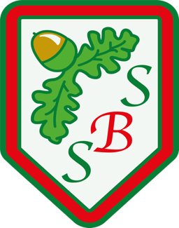 South Baddesley Church of England Primary School & Nursery logo