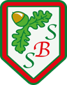South Baddesley Church of England Primary School & Nursery logo