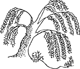 Willowbank Primary School logo