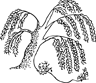 Willowbank Primary School logo