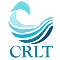 Connie Rothman School logo