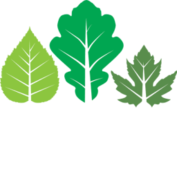 Chapel Street Community Primary School logo