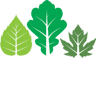 Chapel Street Community Primary School logo