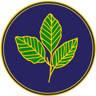 The Beeches Community Primary School logo