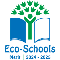 Newcastle Academy logo