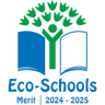 Newcastle Academy logo
