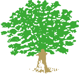 Chulmleigh Primary School logo