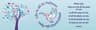 Holly Hill Methodist CofE Infant School logo