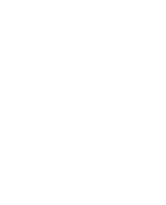 Newfield Secondary School logo