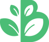 The Beech Academy logo