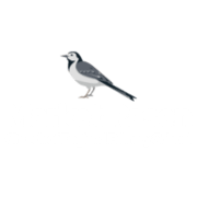 The Market Rasen Church of England Primary School logo