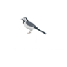 The Market Rasen Church of England Primary School logo