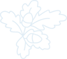 Oakley Primary Academy logo