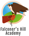 Falconer's Hill Academy logo