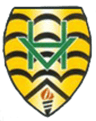 Hill View Junior Academy logo