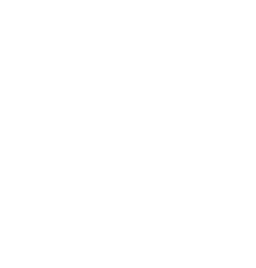 Camulos Academy logo
