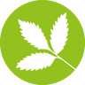 Whitmore Primary School and Nursery logo