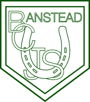 Banstead Community Junior School logo