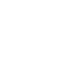 Philips High School logo
